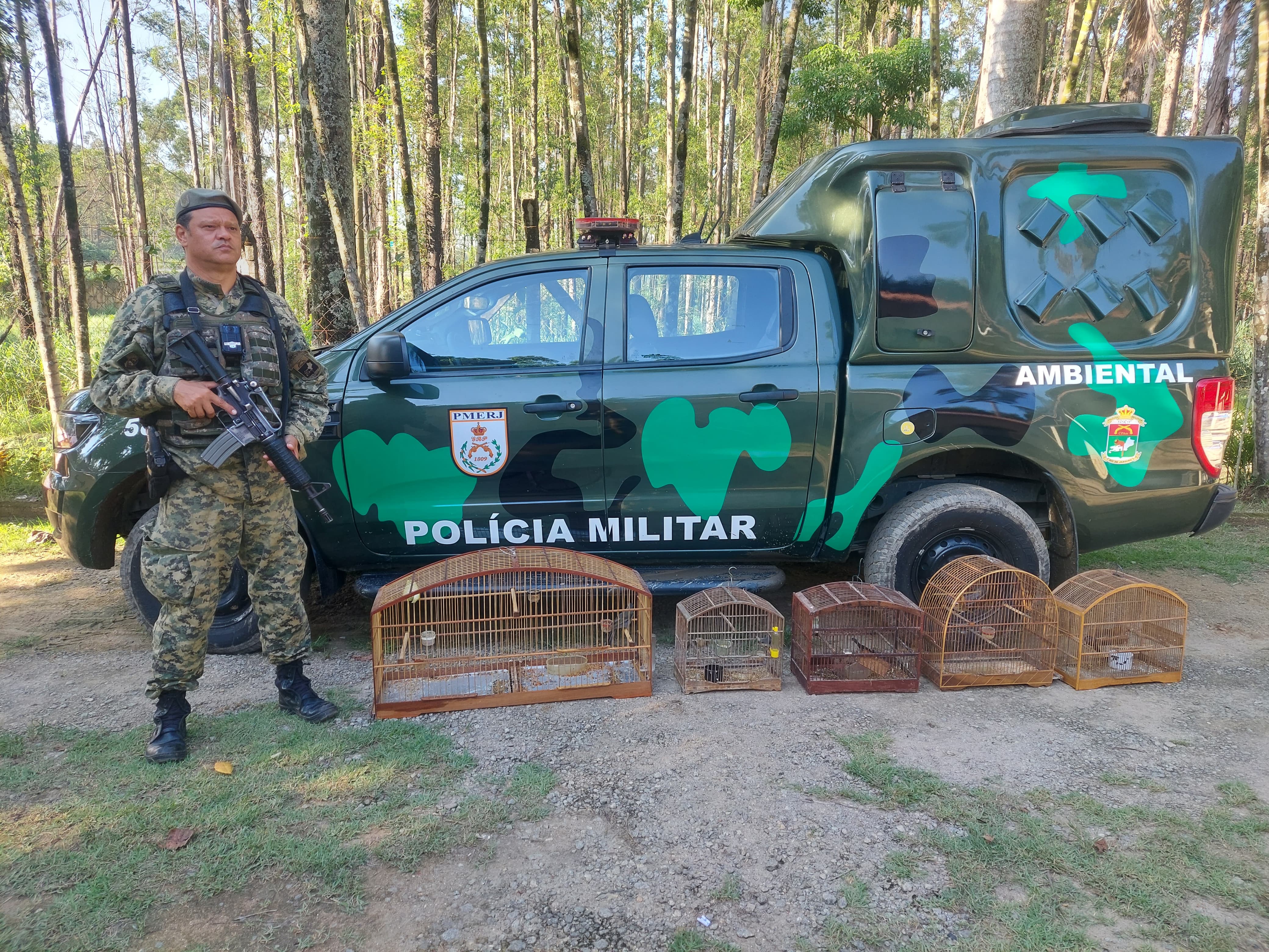 4ª UPAm resgata cinco pássaros mantidos em cativeiro em Magaratiba 